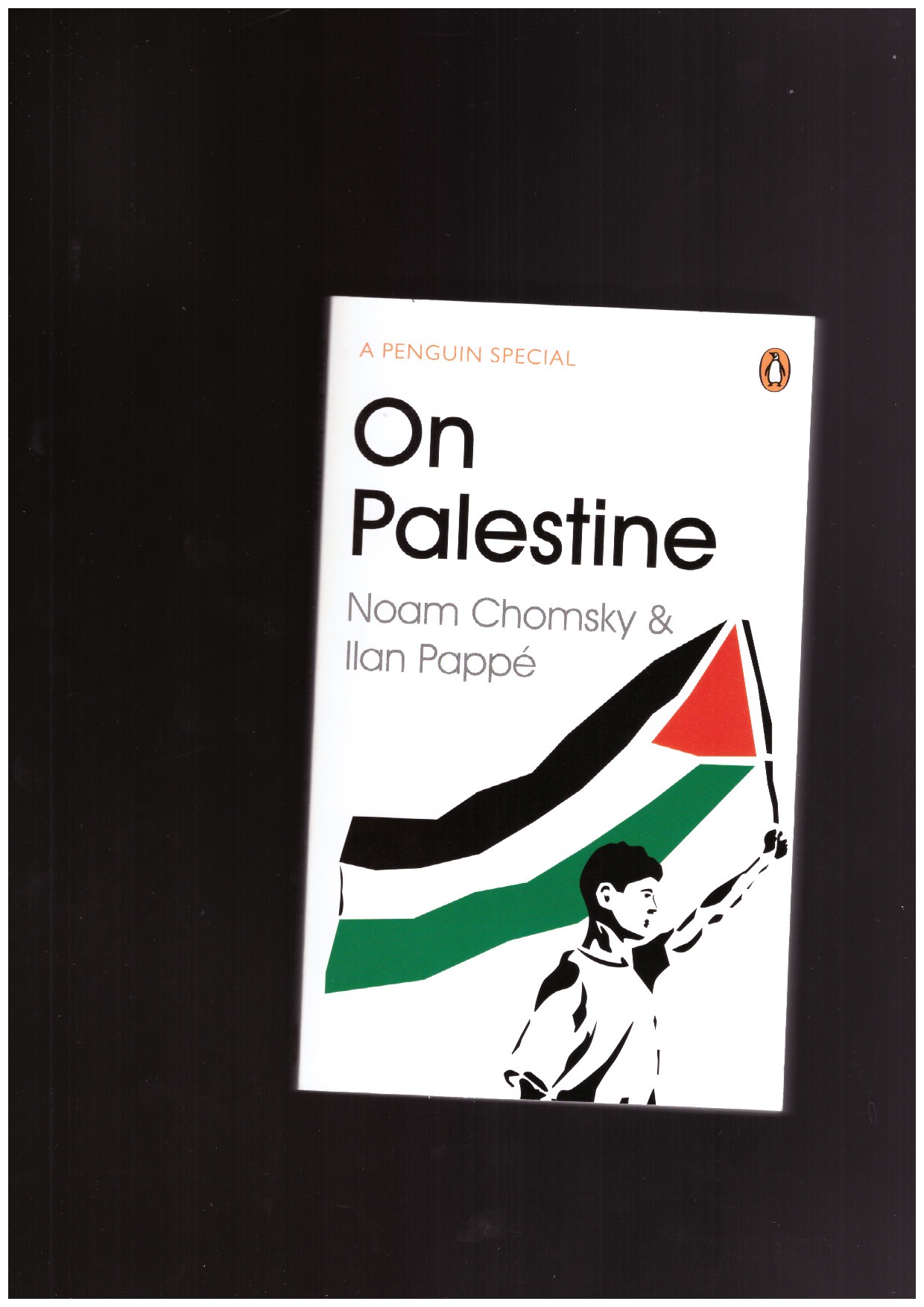 PAPPE, Ilan; CHOMSKY, Noam - On Palestine